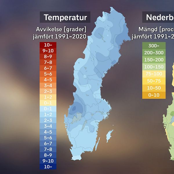 Kort om januarivädret 2024 med SVT:s meteorolog Per Stenborg.