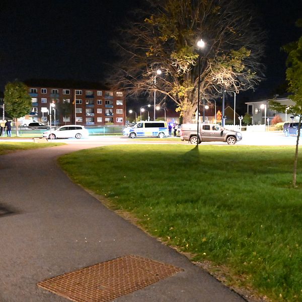 Gräsmatta framför upplysta bilar och bostadshus