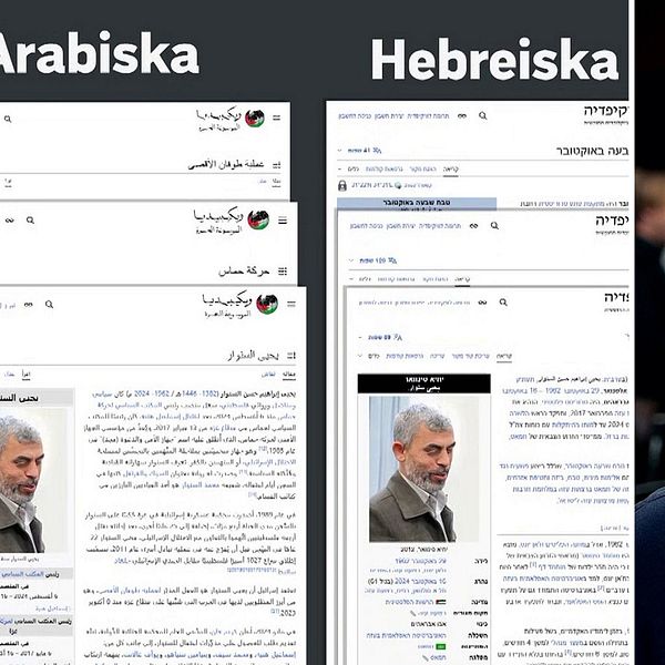 Samir Abu Eid analyserar skillnader mellan arabiska och hebreiska Wikipediaartiklar.