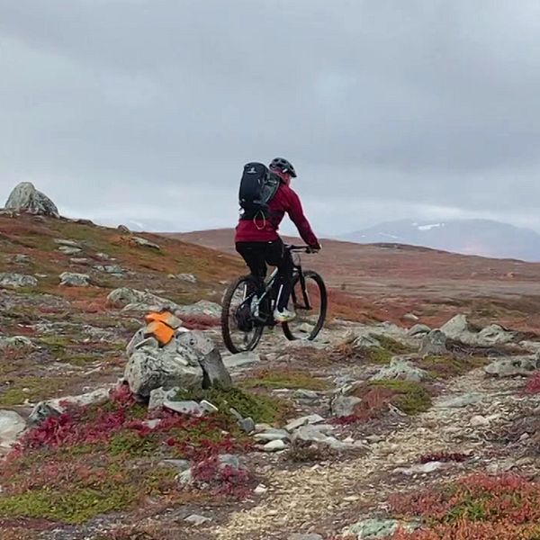 Två cyklister uppe på ett fjäll.