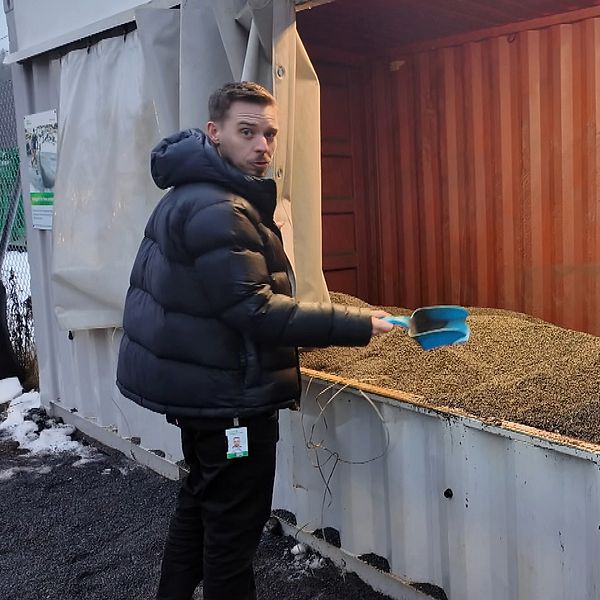 Högt tryck på akuten efter blixthalka i Umeå – kommunen sandade för ...