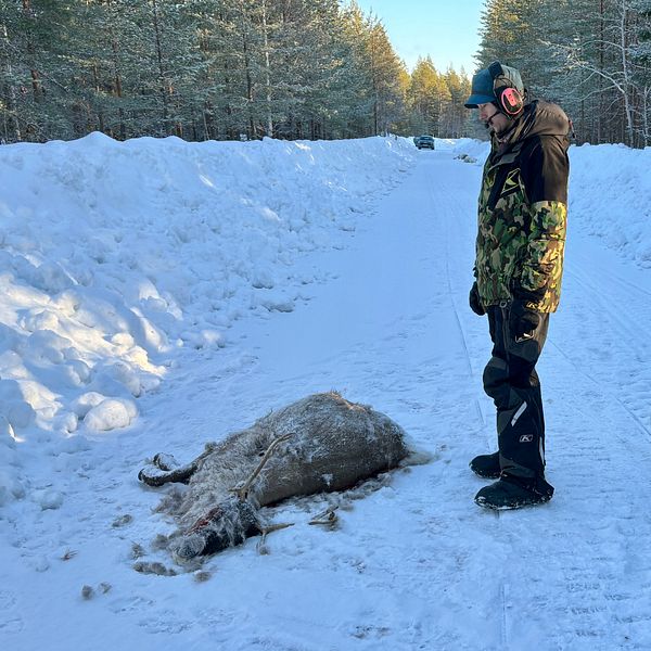 En person klädd i vinterutrustning står på en snötäckt väg och tittar på en död ren. Bredvid personen står en snöskoter med en svart hund sittande på den, omgiven av snöklädda skogar.