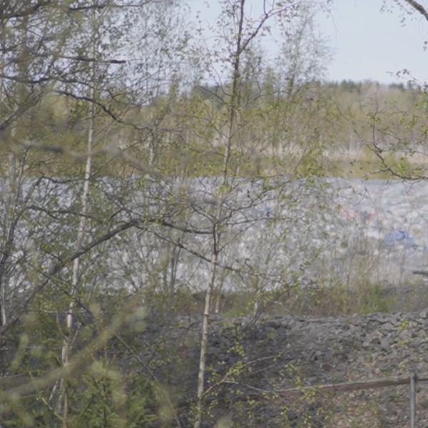 Delad bild. Till vänster: sjö bakom vårträd. Till höger: person i kostym och skjorta utomhus.