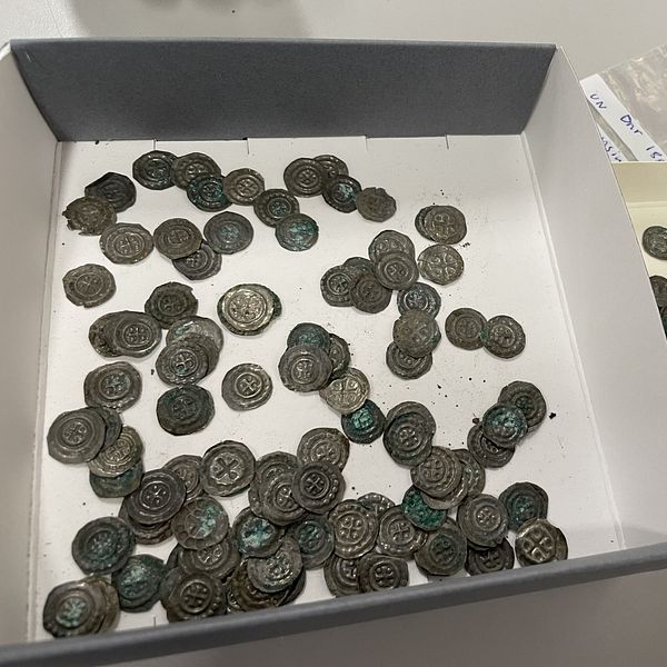 Unikt fynd av silvermynt från 1100-talet