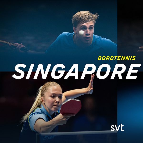 Bordtennis