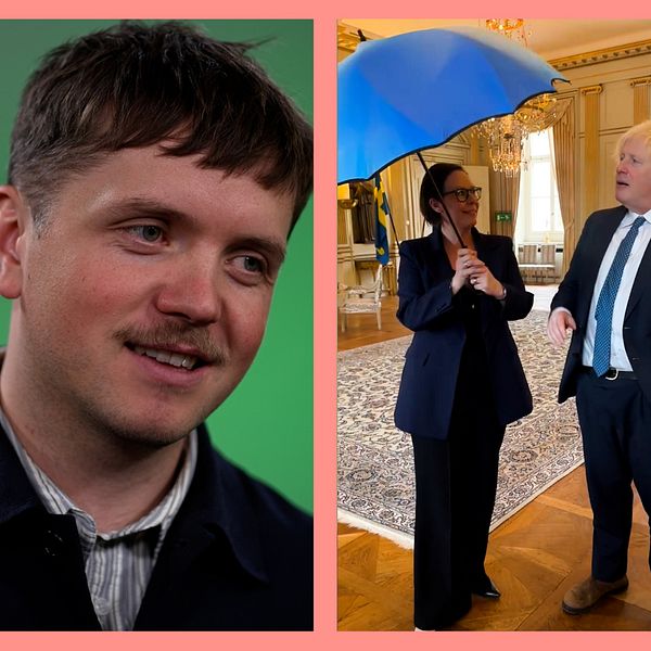 dadgostars-charkbricka-avsl-jar-v-strategin-svt-nyheter