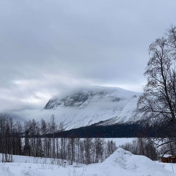 en bild på ett fjäll och en bild på en man med långt grått skägg och glasögon