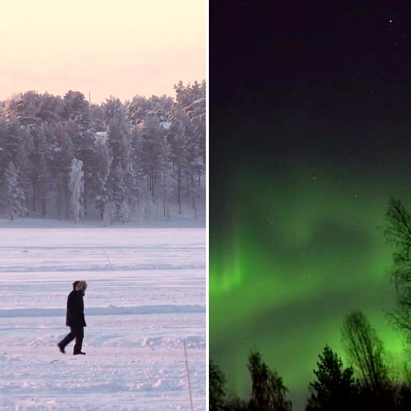 Tre bilder som föreställer isbanan i Luleå, norrsken och slädhundar.