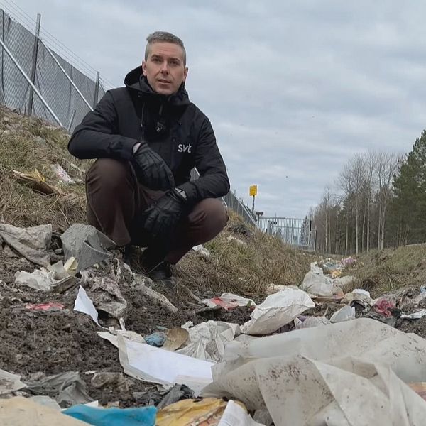 Rikard Berglin