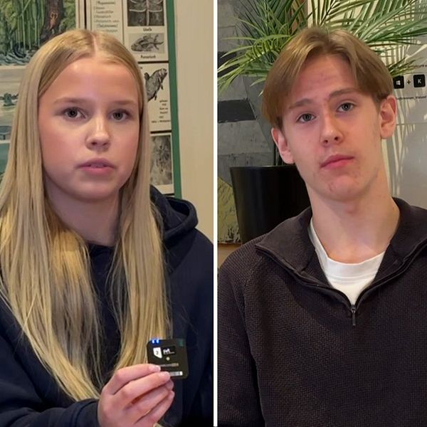 Tredelad bild. Till vänster: Elev, tonårstjej, med långt blont hår. I mitten: Elev, tonårskille, framför gröna växter. Till höger: Personal, man, som gestikulerar.