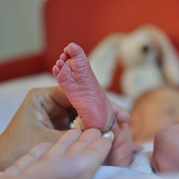 En hand håller försiktigt i en nyfödd babys fot, medan en bakgrund med mjuka leksaker, troligen kaniner, skapar en hemtrevlig atmosfär.