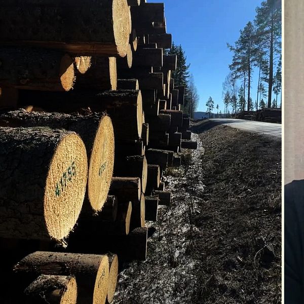 Delad bild. Till vänster: travar med timmer bredvid en väg. Till höger: person i mörk tröja framför gardin.