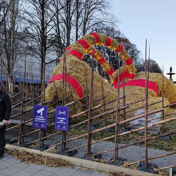 Gävlebocken har rasat ihop efter kraftig vind, halmbocken ligger ned på marken.