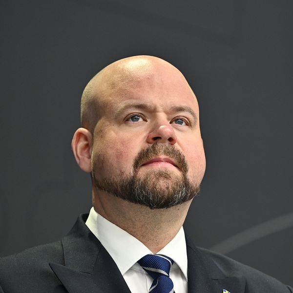 Landsbygdsminister Peter Kullgren (KD)