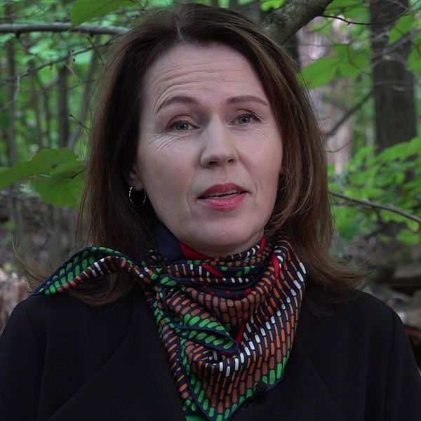 Tiina Laitila-Kävlemarkin viideos teos