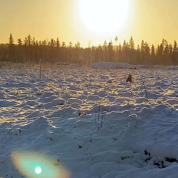 Till höger syns ett landskap täckt av snö med en stark strålande sol, på platsen där Hitachis nya logistikcenter kan komma att ligga. Till vänster syns en man med glasögon i skjorta.