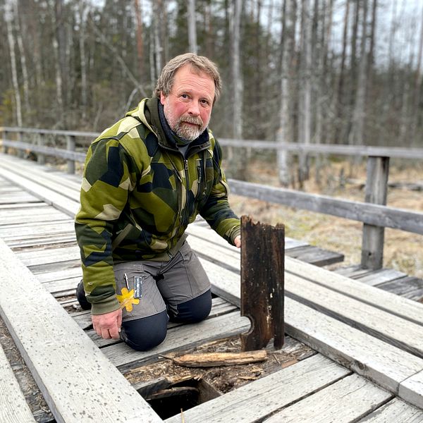 En person undersöker ett hål i en trasig spång i ett skogsområde.