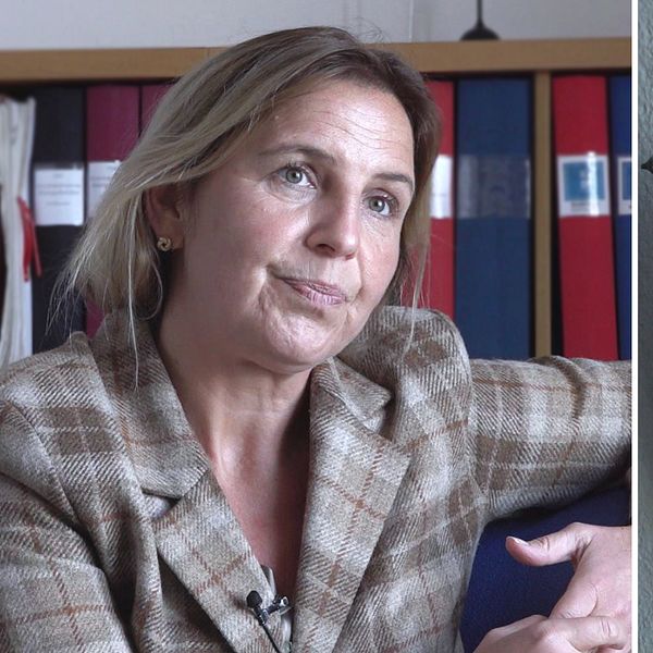 En delad bild som visar två sektioner. Den vänstra sektionen visar en kvinna i en grå-rutig kavaj som sitter i en kontorsmiljö med bokhyllor i bakgrunden. Den högra sektionen visar en flagga med Kristdemokraternas logo som hänger anordnad i ett rum.