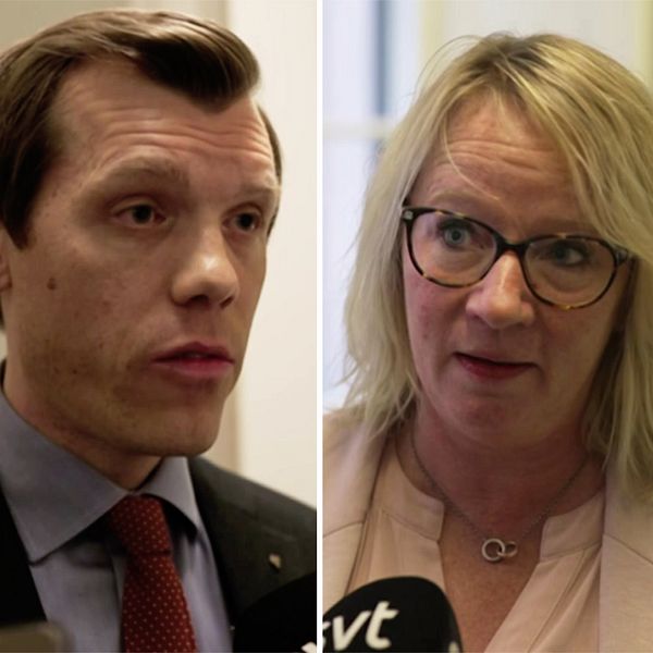 Johan Hultberg (M), Carina Ståhl Herrstedt (SD), ledamot socialutskottet, Camilla Waltersson Grönvall (M), Socialtjänstminister.