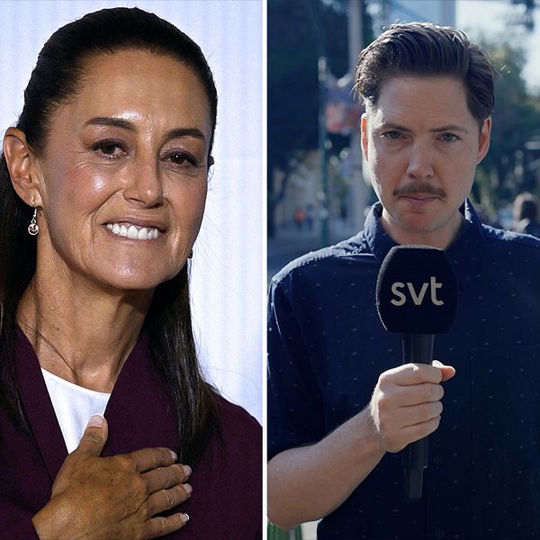 Claudia Sheinbaum, Tigran Feiler och  Xochitl Galvez.