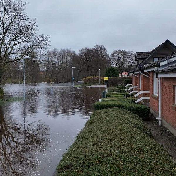Splittbild som visar en översvämmad Hörbyå, med vatten som närmar sig en hustomt, även Mikael Ulvholt  kommunekolog Hörby i orangea varselväst, framför en översvämning.