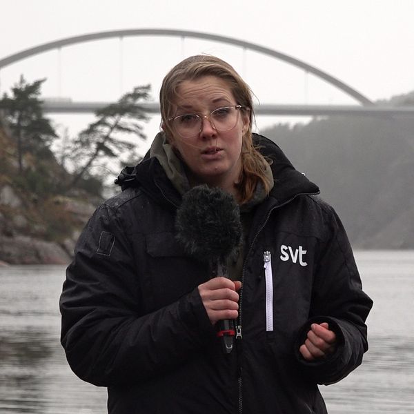 Reporter Lisa Johansson står framför bro, svinesundsbron