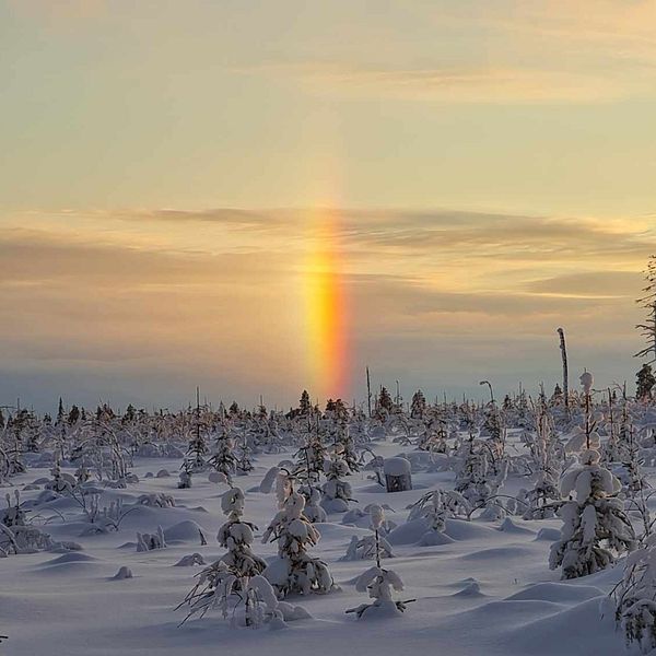 Åmliden, Lappland den 30 november