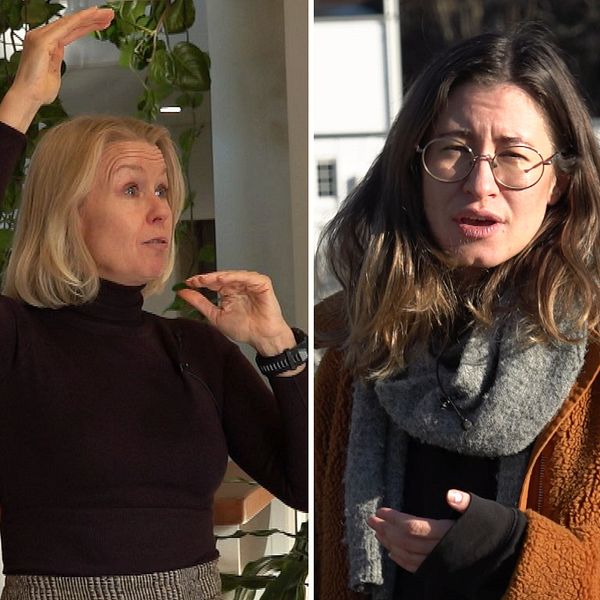 Tredelad bild. Vänster: Person gestikulerar vid en växt. Mitten: Person i vinterkläder utomhus. Höger: Person i gul jacka.