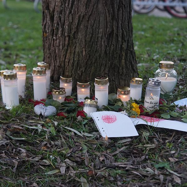 Mordplats Mariehem Umeå, åklagare