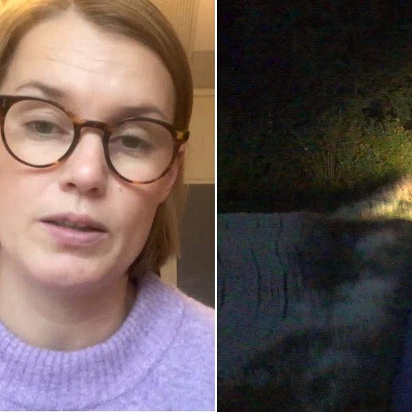 Hanna Cardell till höger i bild, polisbild kör i mörker på landsväg till vänster i bild