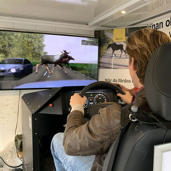 En man sitter i en simulator, med händerna på ratten. Framför honom är en skärm med älgar i trafiken, och bredvid honom står en man med keps från Älgskadefondsföreningen.