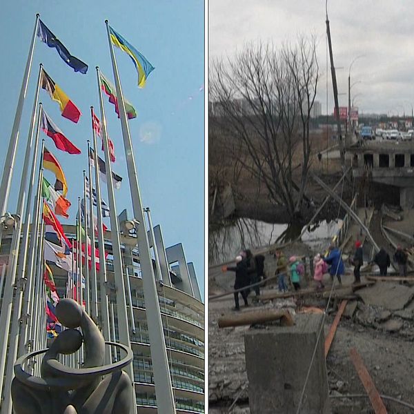 Tre bilder. Den första visar EU-parlamentet exteriört, den mittersta bild från krigets Ukraina, till höger en arkivbild från Estoniakatastrofen.