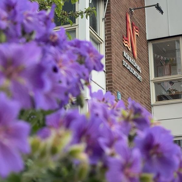 Blommor i förgrunden och en person framför en byggnad i bakgrunden