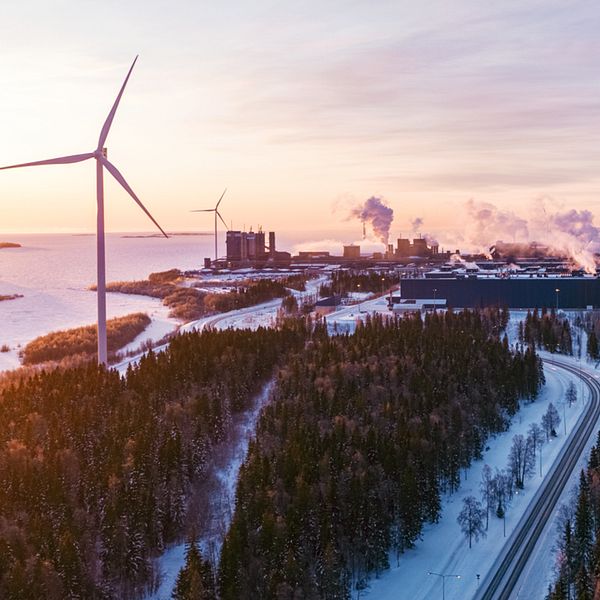 Vy från luften över finländska gränsstaden Torneå.