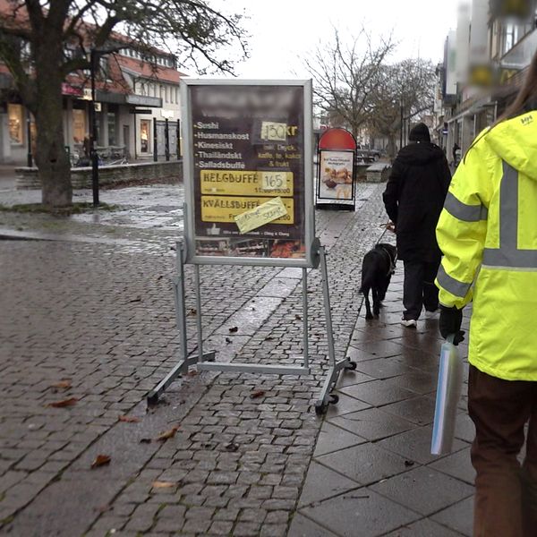 Två kvinnor i gula jackor tittar på skyltar som står på gatan i visby.