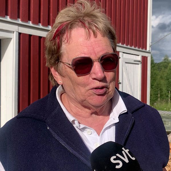 En kvinna pratar, till bakgrunden vajar skogsfinska flaggan.