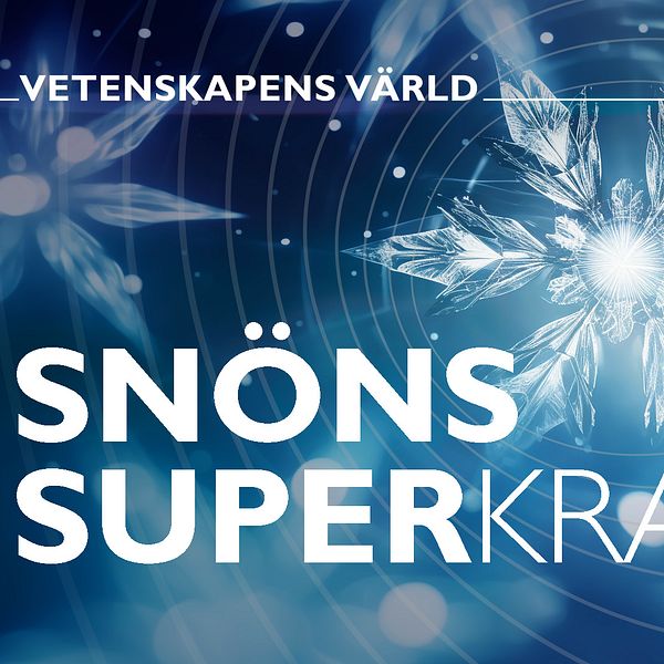 Snöflingor och programtiteln Vetenskapens värld Snöns superkrafter