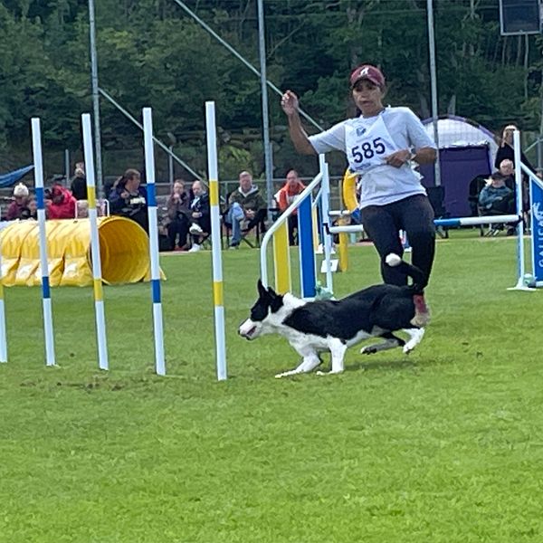 Agility i Stenungsund, deltagare med en hund