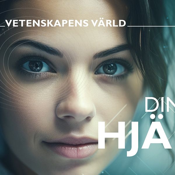 Din luriga hjärna.