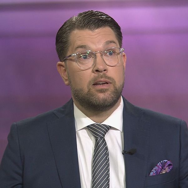 En lösning på problemet med den höga arbetslösheten i Sverige är att uppmuntra människor som är födda i ett annat land att återvandra, det säger Sverigedemokraternas partiledare Jimmie Åkesson när han gästar SVT 30 Minuter.
