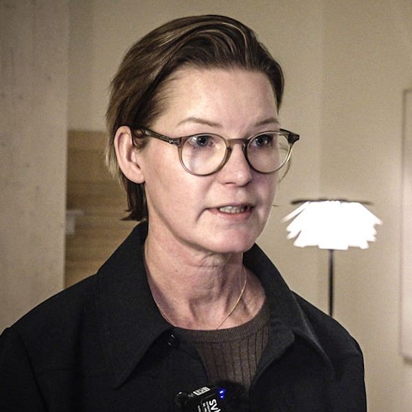 Verksamhetschefen för inspektionen för vård och omsorg berättar om brister inom psykiatrin i Falun.