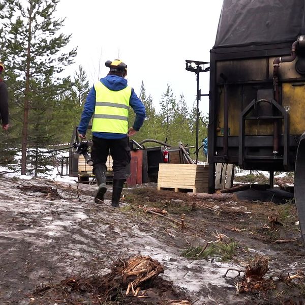 Provborrningar vid Barsele i Storumans kommun.