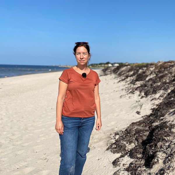 Skånes kuster äts upp av erosion, naturens egna lösningar kan vara lösningen på problemen.