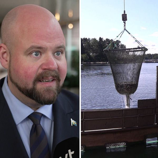Till vänster: Landsbygdsminister Peter Kullgren. Till höger. Fiskebåt med strömming i nät.