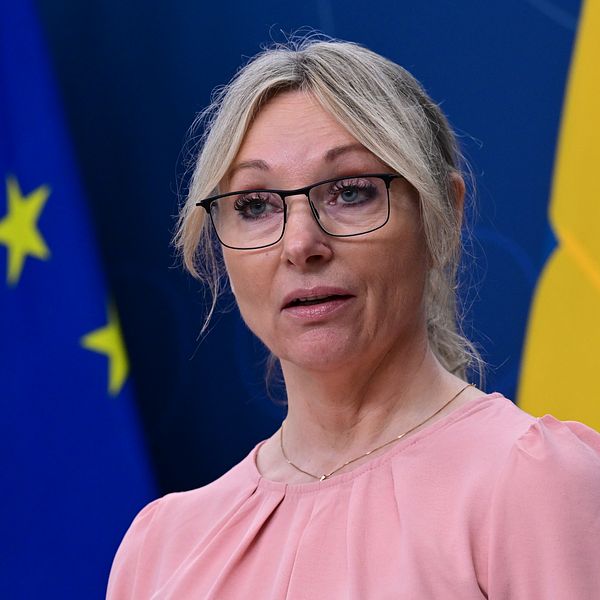 Jessica Stegrud framför EU- och svenska flaggan i samband med kritik mot hennes X-inlägg.
