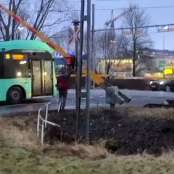 Buss fast mellan bommarna på järnvägsövergång.