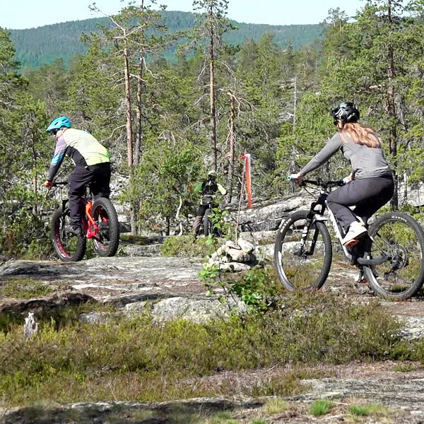 SVT:s reporter Anna Wallbrandt cyklar över stenar i Armasjärvi med Patrik Mämmi.