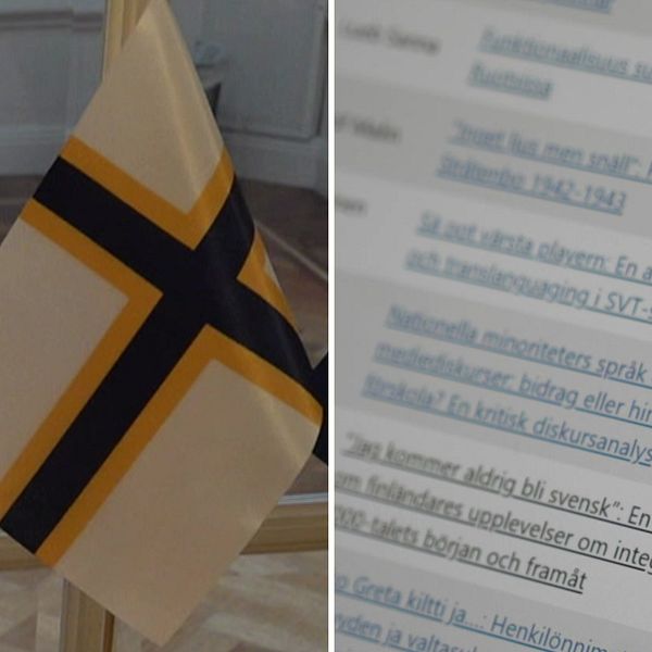 Kuva opinnäytetyögalleriasta ja ruotsinsuomalaisesta lipusta