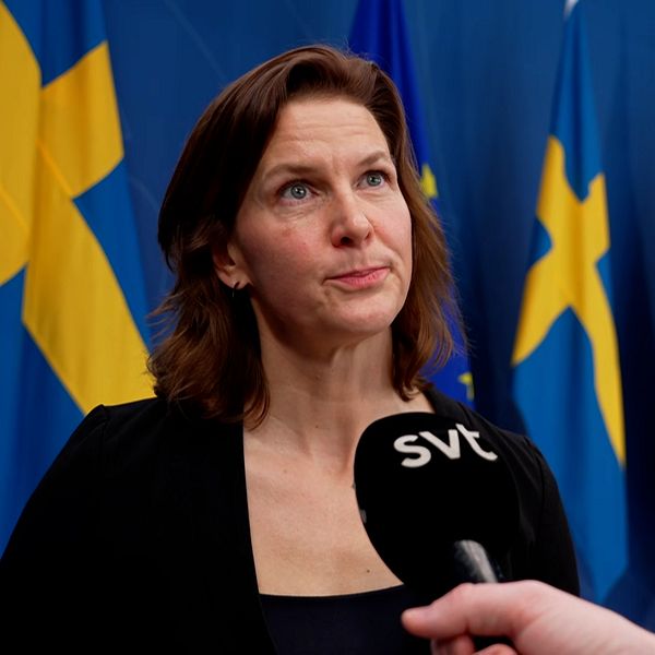Svenska och EU-flaggor bakom SVT-mikrofon under intervju.
