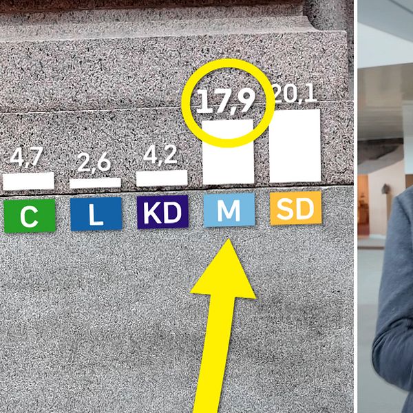 Elisabeth Marmorstein analyserar opinionsläget med fokus på Moderaternas låga siffror.